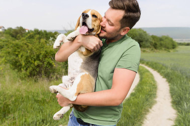 Why Do Dogs Bury Bones and Other Goodies?